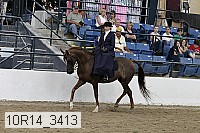 10r14_3413 proof