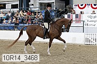 10r14_3468 proof