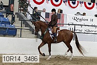 10r14_3486 proof