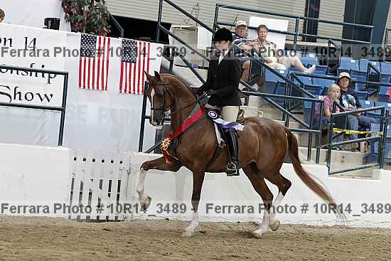 Proof 10r14_3489