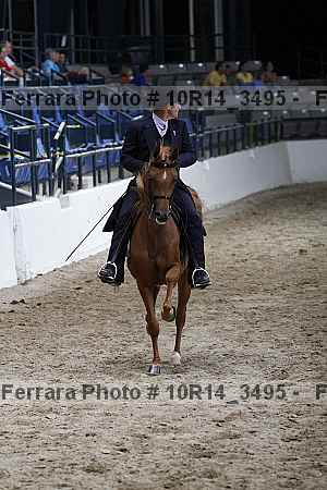 Proof 10r14_3495