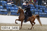 10r14_3496 proof