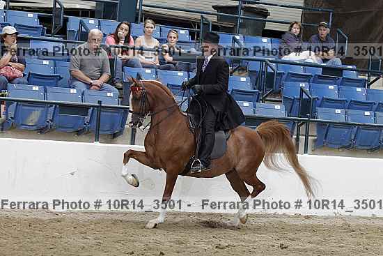 Proof 10r14_3501