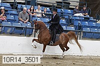 10r14_3501 proof