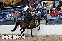 10r14_3502 proof
