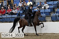 10r14_3503 proof