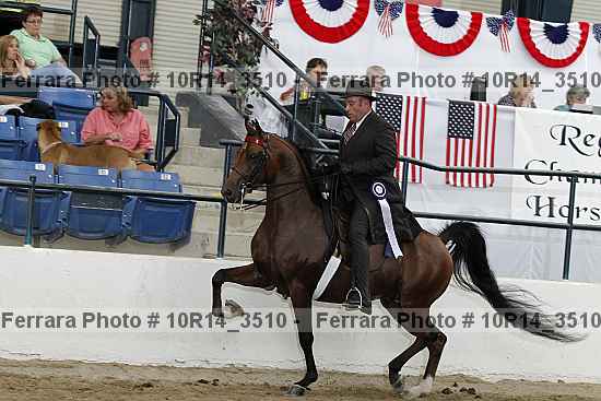 Proof 10r14_3510