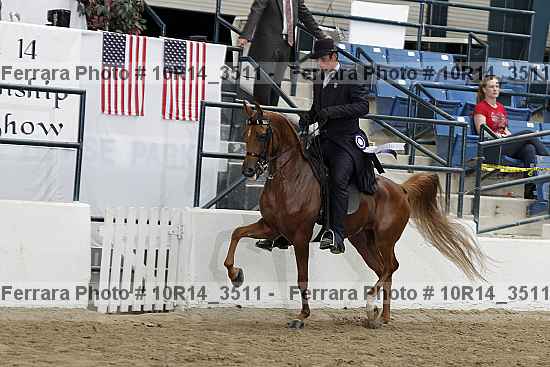 Proof 10r14_3511