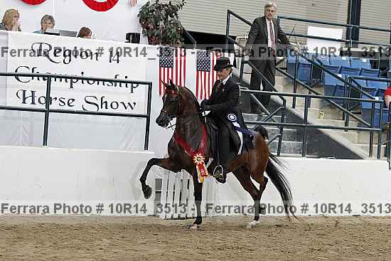 Proof 10r14_3513