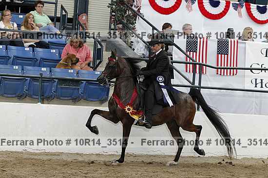 Proof 10r14_3514