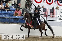 10r14_3514 proof