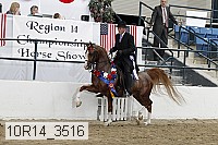 10r14_3516 proof