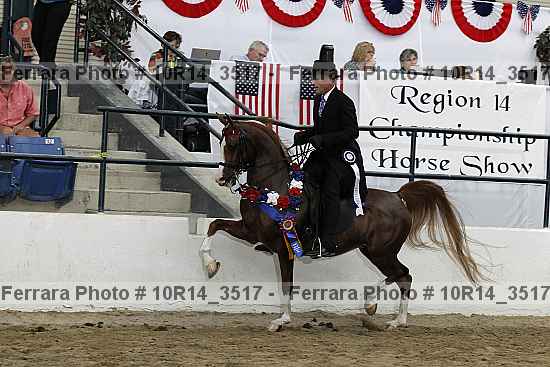 Proof 10r14_3517