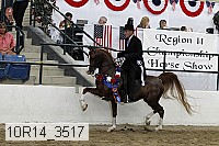 10r14_3517 proof