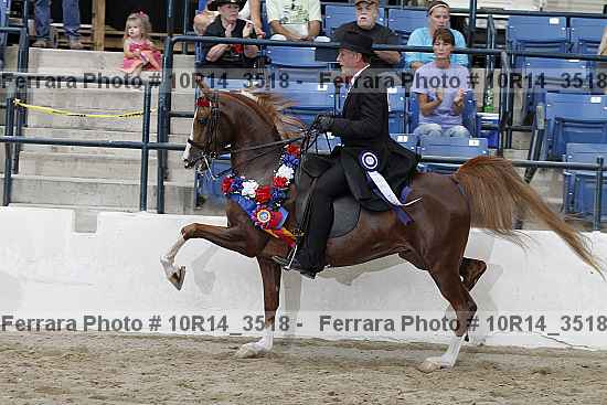 Proof 10r14_3518