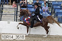 10r14_3518 proof