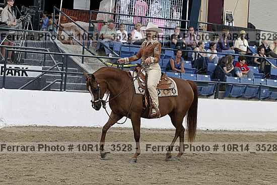 Proof 10r14_3528