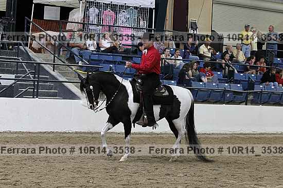 Proof 10r14_3538