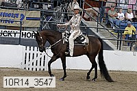 10r14_3547 proof