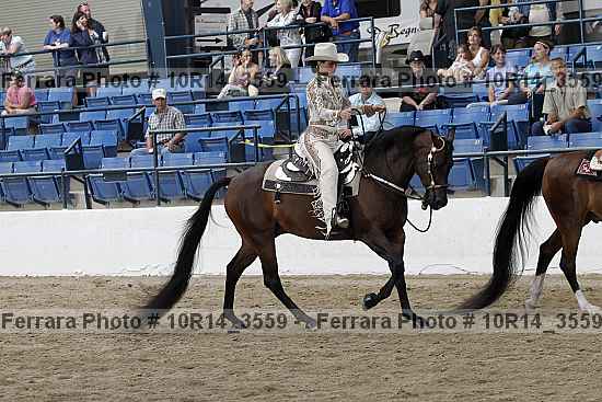 Proof 10r14_3559