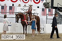 10r14_3560 proof