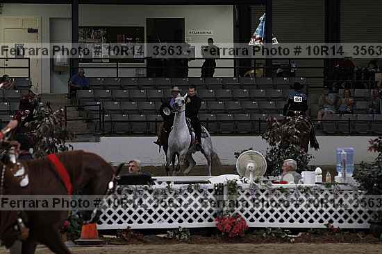 Proof 10r14_3563