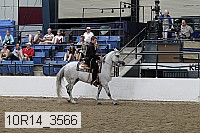 10r14_3566 proof
