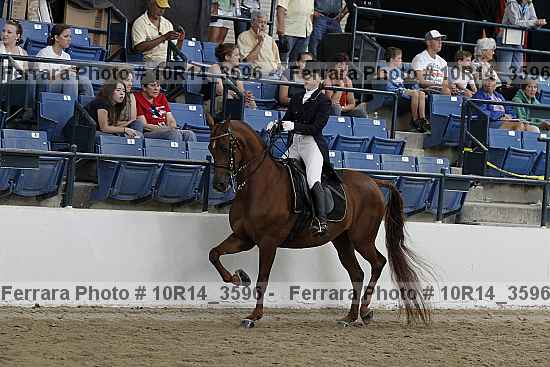 Proof 10r14_3596