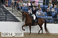10r14_3597 proof