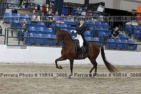 Proof 10r14_3606