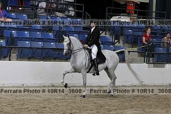 Proof 10r14_3608