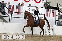 10r14_3619 proof