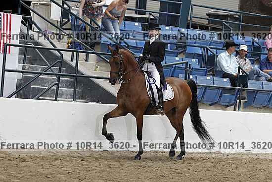 Proof 10r14_3620