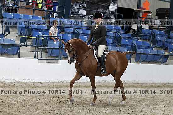 Proof 10r14_3701