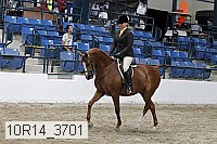 10r14_3701 proof