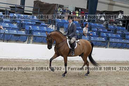 Proof 10r14_3702