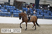 10r14_3702 proof