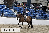 10r14_3703 proof
