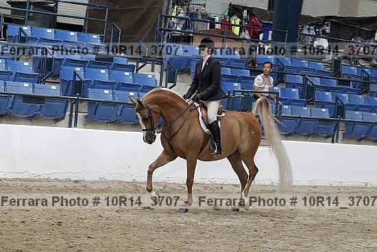 Proof 10r14_3707