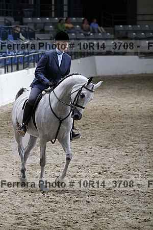 Proof 10r14_3708