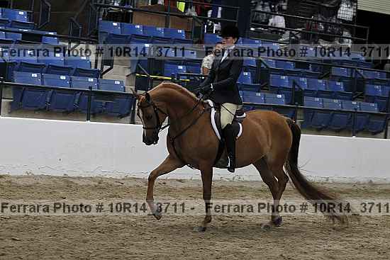 Proof 10r14_3711