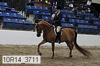 10r14_3711 proof