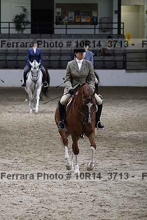 Proof 10r14_3713