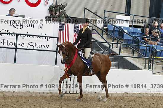 Proof 10r14_3739