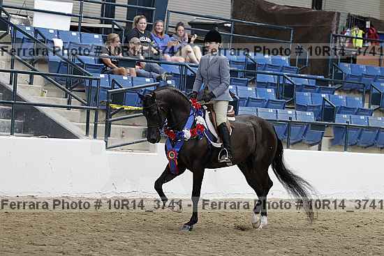 Proof 10r14_3741