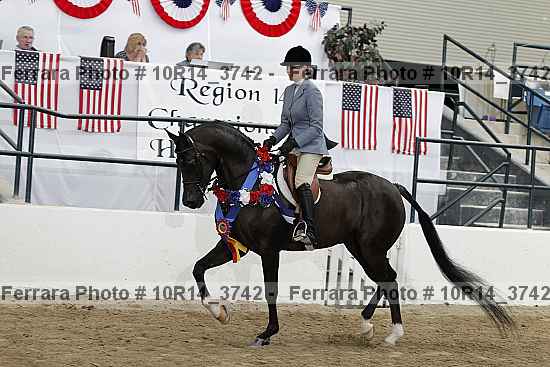 Proof 10r14_3742