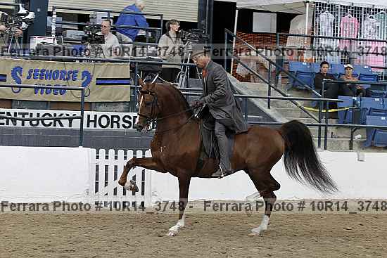 Proof 10r14_3748