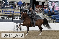 10r14_3748 proof