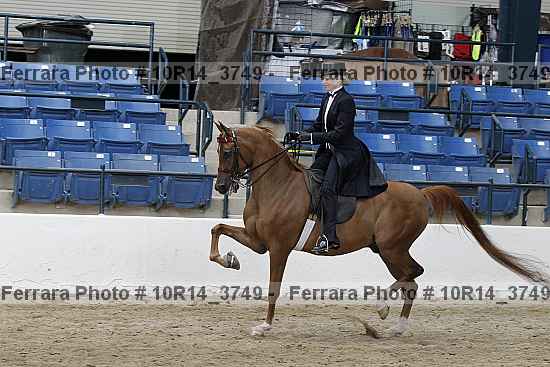 Proof 10r14_3749