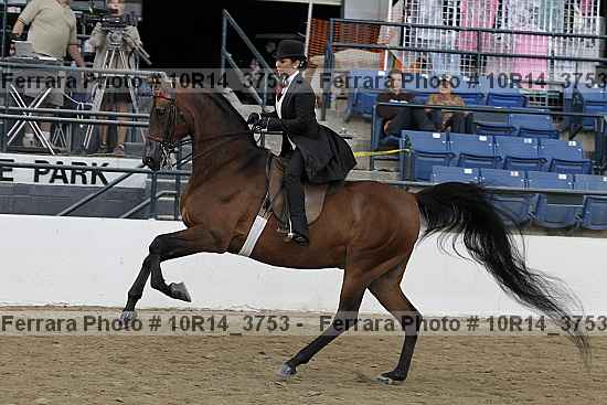 Proof 10r14_3753